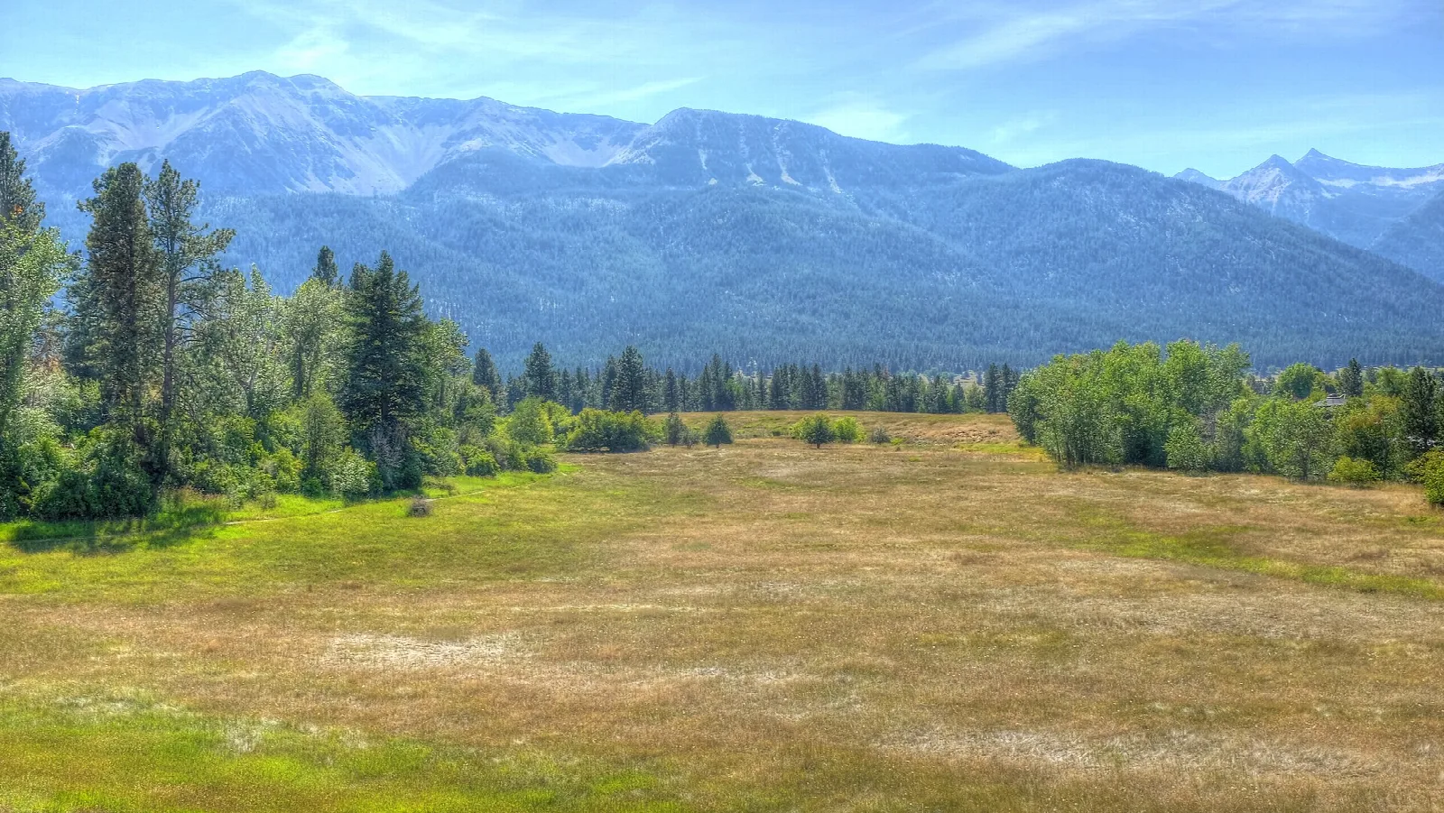 Open meadow with trees and mountains beyond