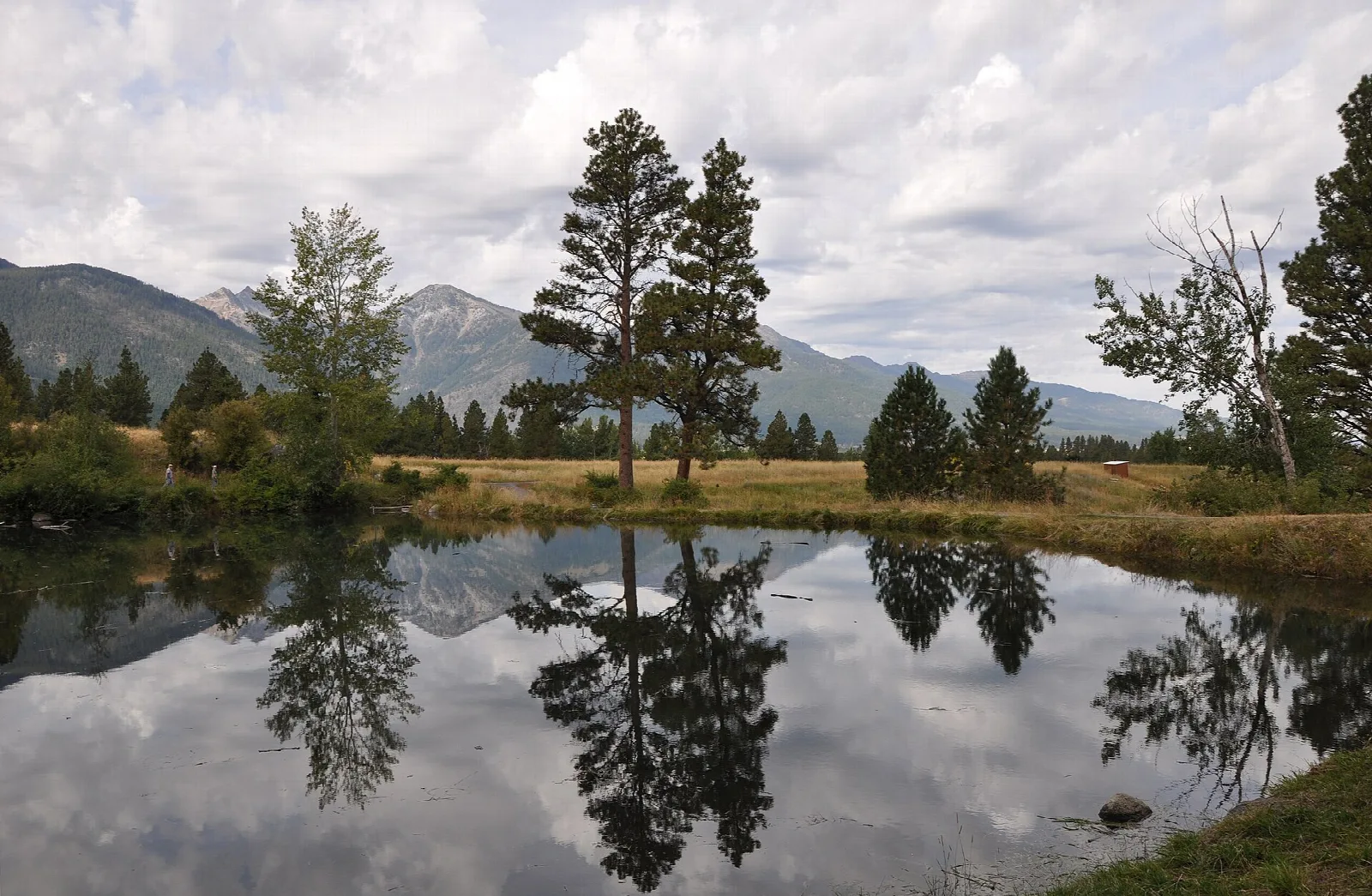 Knight's Pond reflecting trees and the Wallowa Mountains
