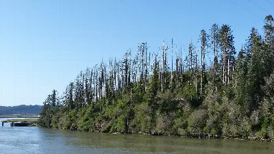 Bolon Island Tideways State Scenic Corridor