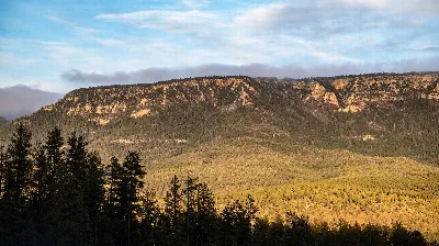 Apache-Sitgreaves National Forests