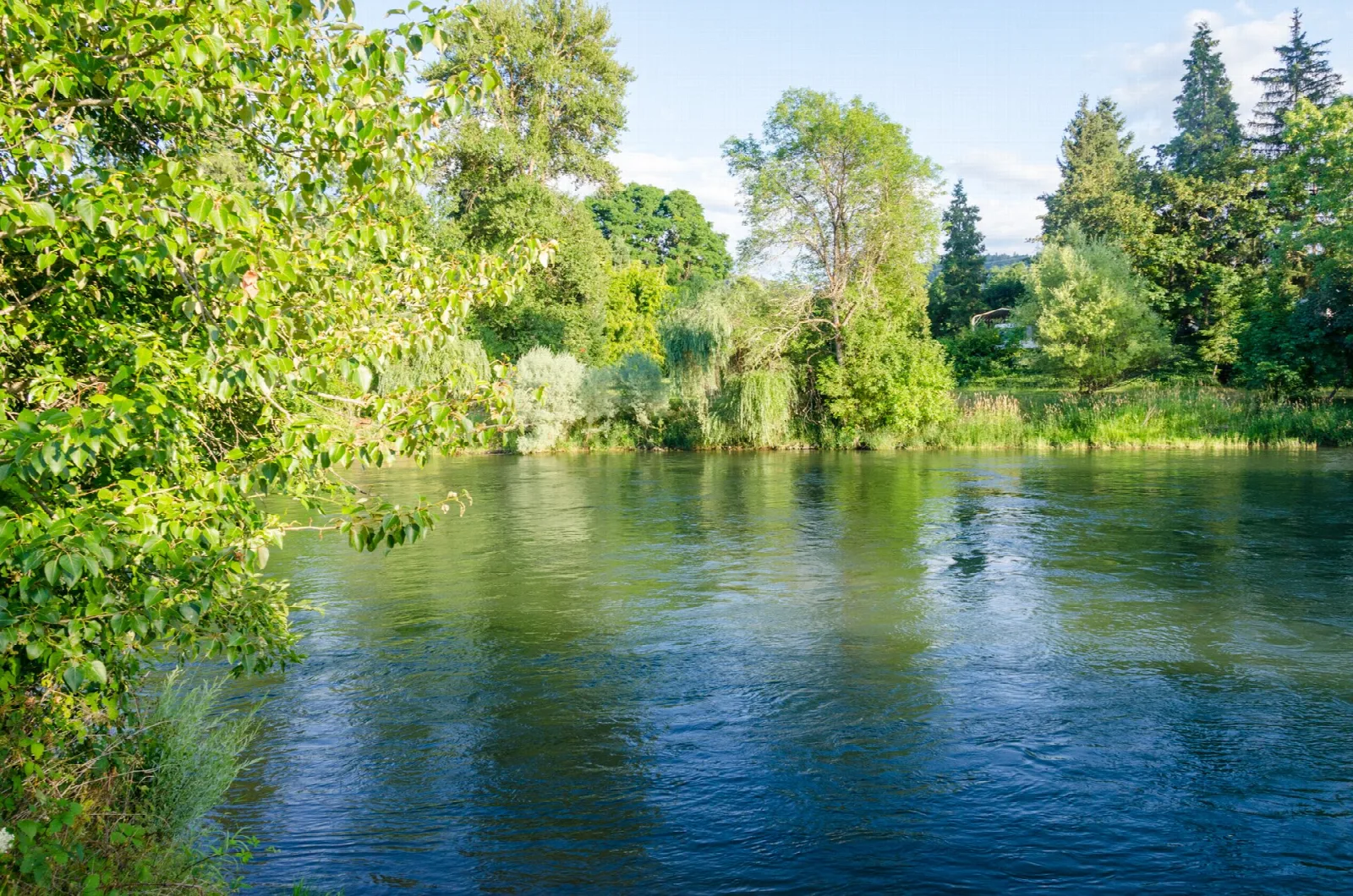 Calm river bend with green trees and blue sky