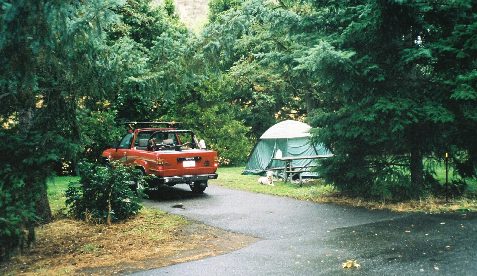Paved campground loop with a truck and green tent among tall trees