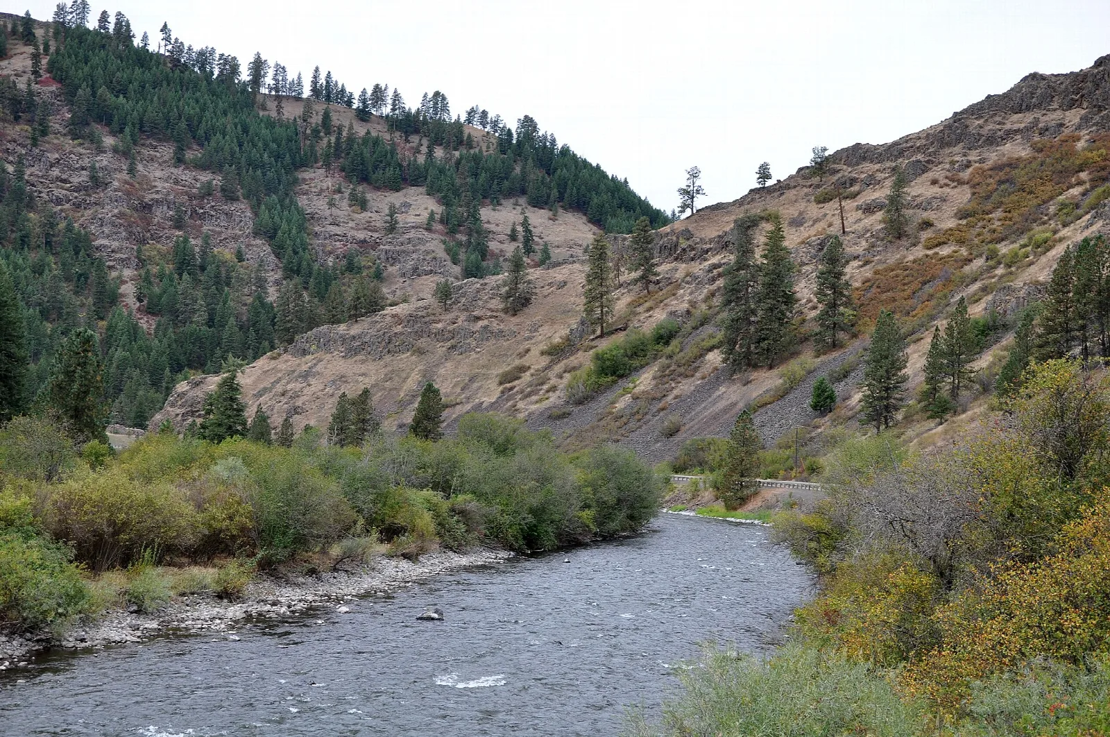 River running through a canyon with pine-covered slopes and shrubs