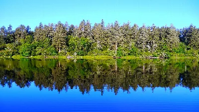 Fort Stevens State Park