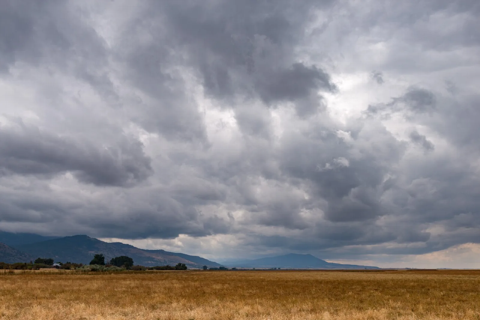 Flat golden lake bed under heavy gray clouds with distant hills