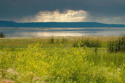 Goose Lake State Recreation Area