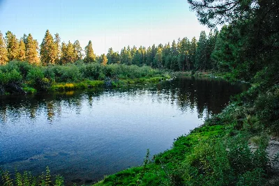 Collier Memorial State Park