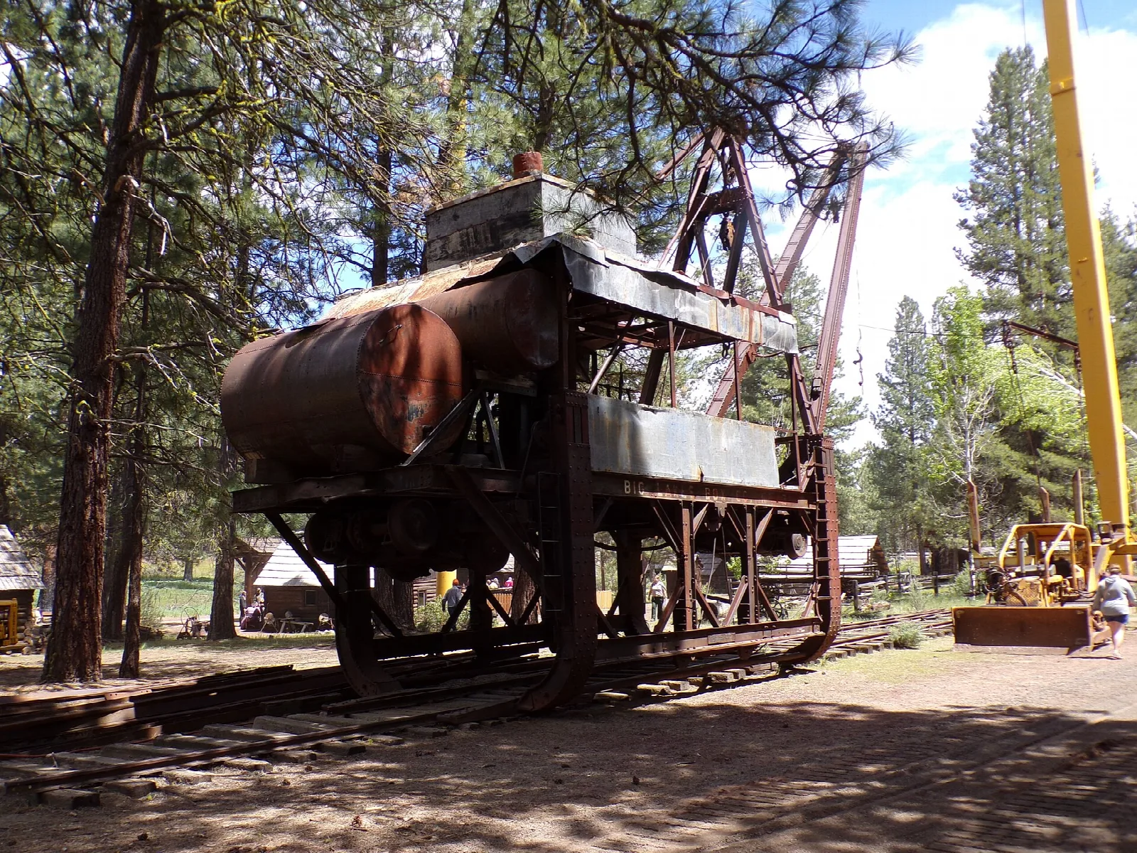 Old rusted logging machine among pine trees
