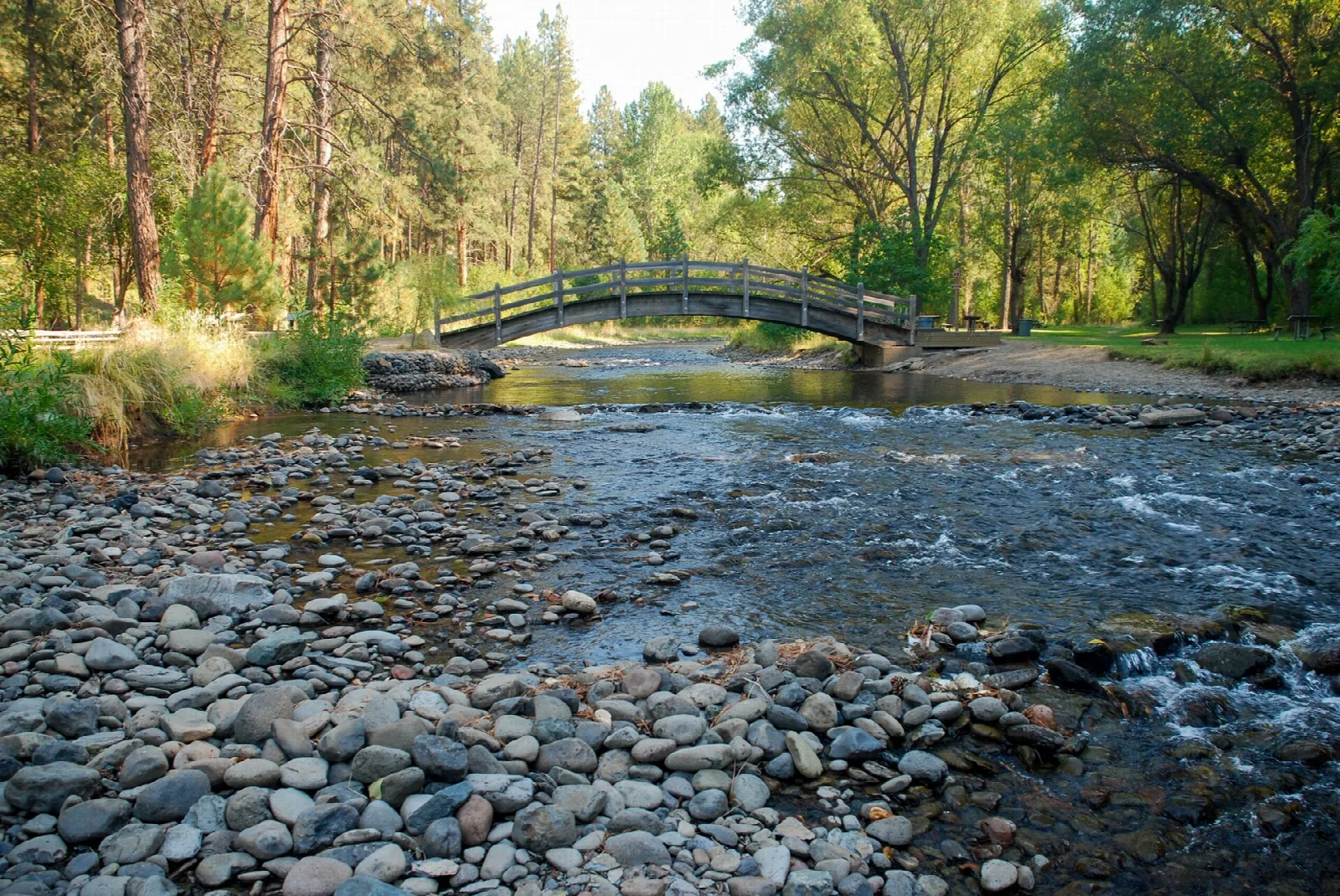 Wooden arched footbridge over a shallow rocky creek in pine forest