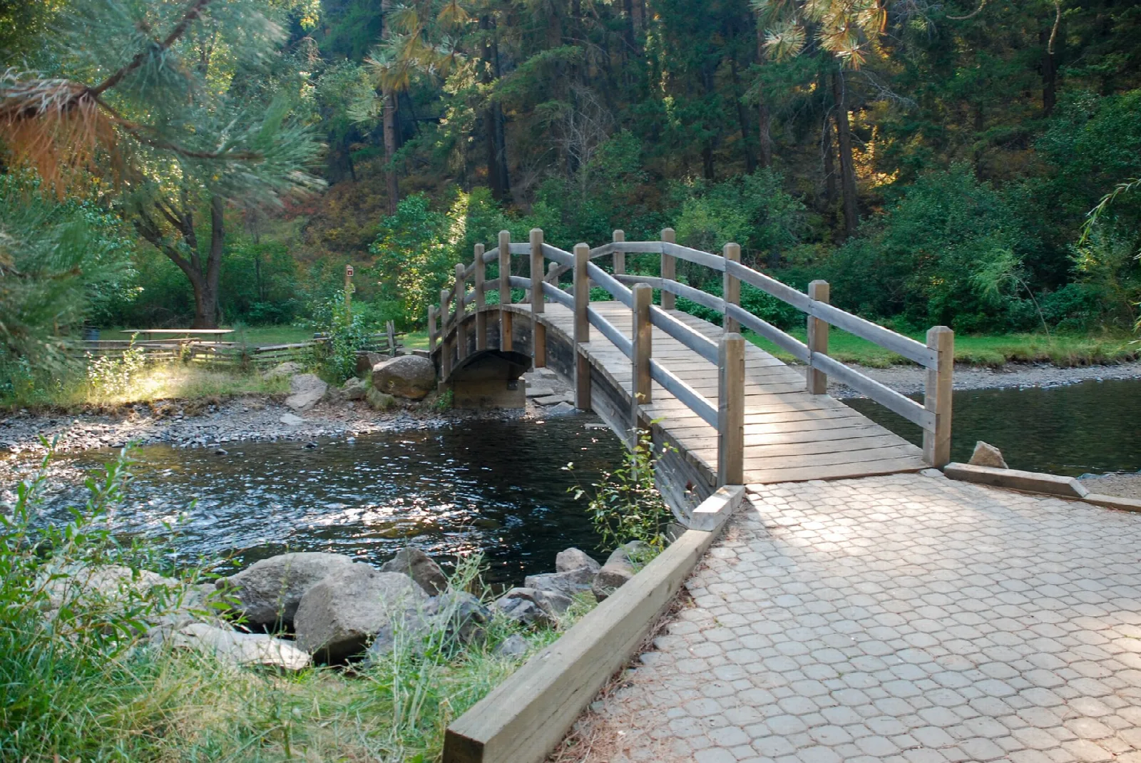 Paved footbridge crossing the creek among pines