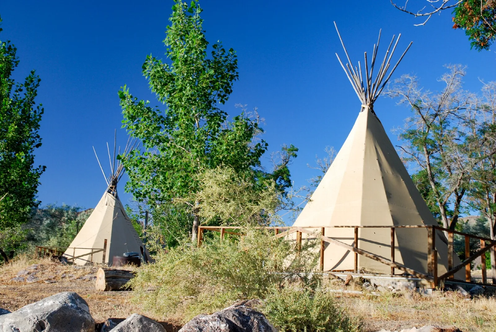 Tipis among trees with blue sky behind