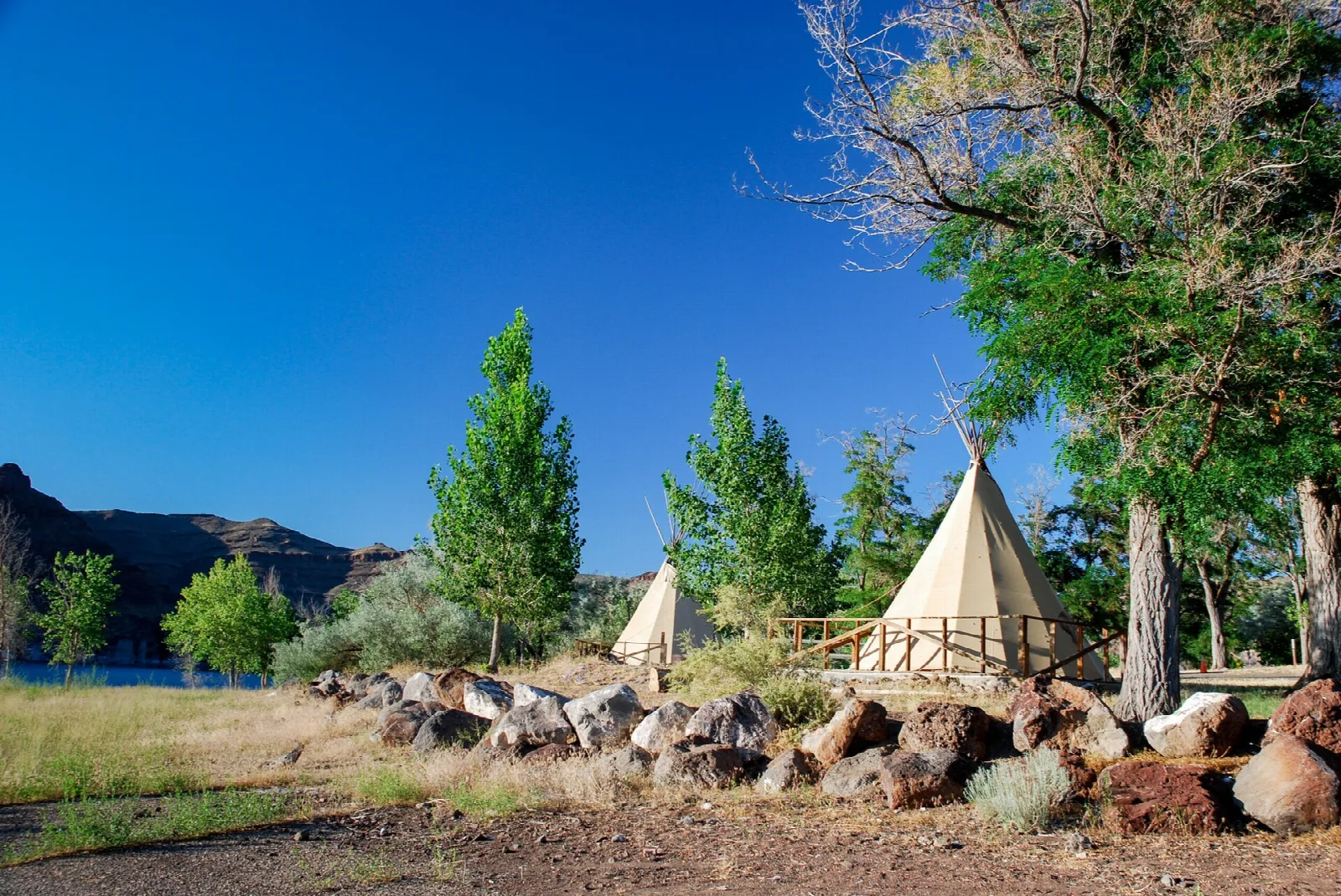 Tipis among trees and rocks under a deep blue sky