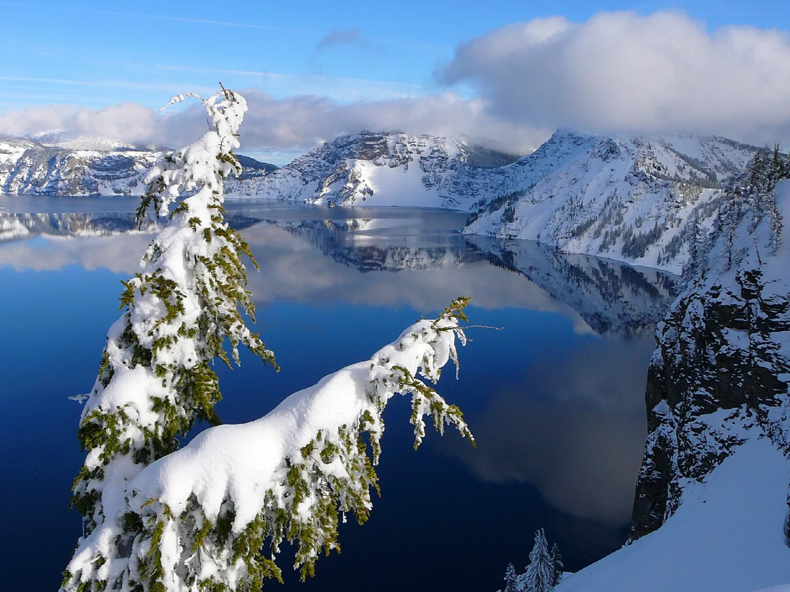 Snow-laden hemlocks on the rim above a still blue lake and snowy caldera walls