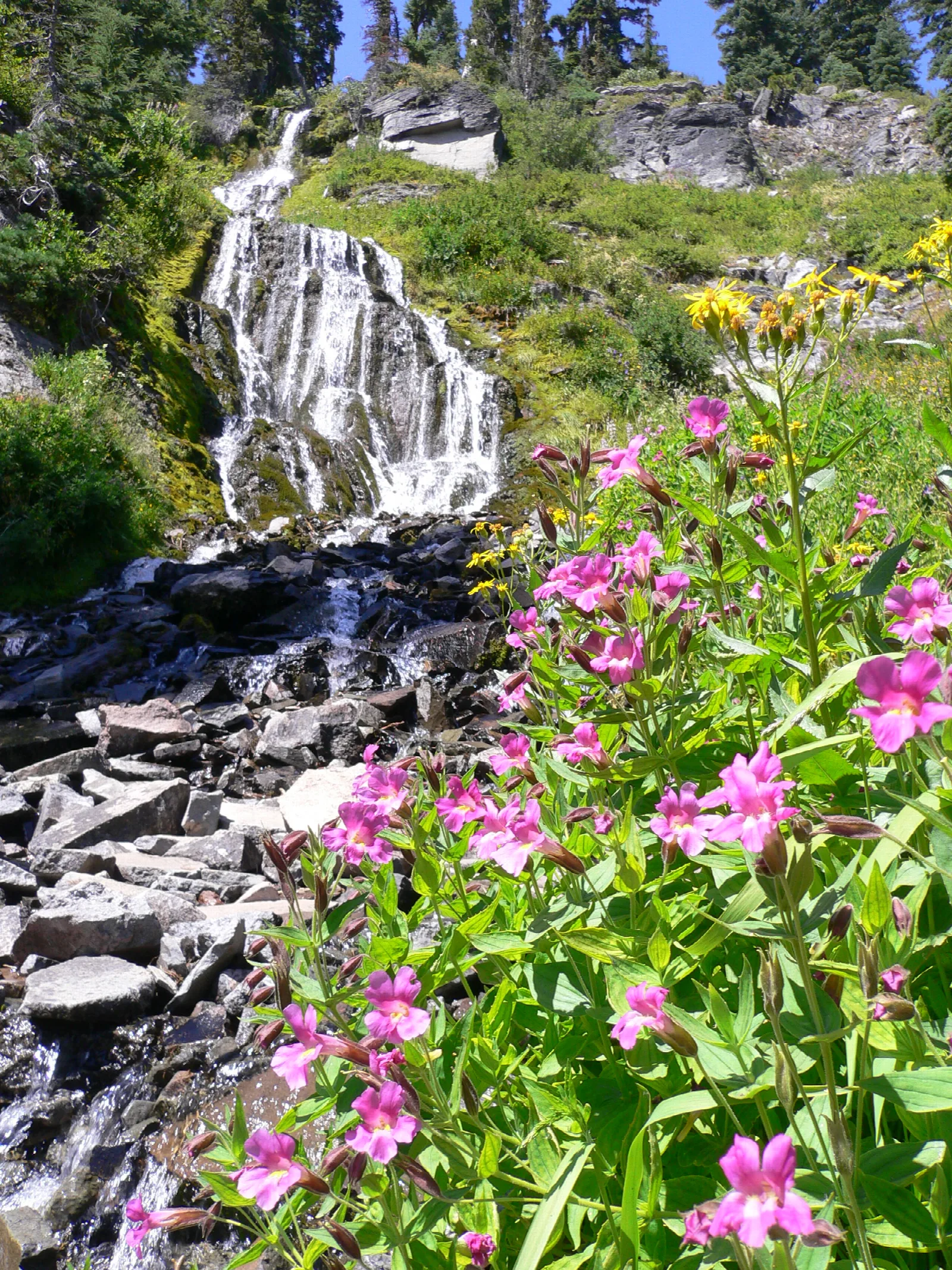 water flowing over Vidae Falls