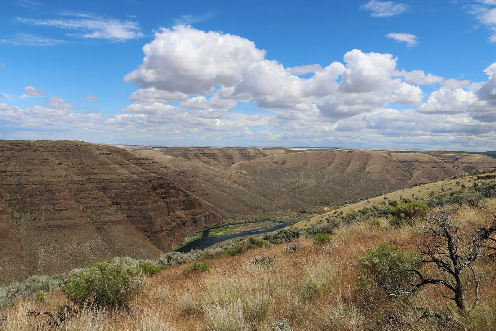 Grassy hillside above a river bend in a dry canyon