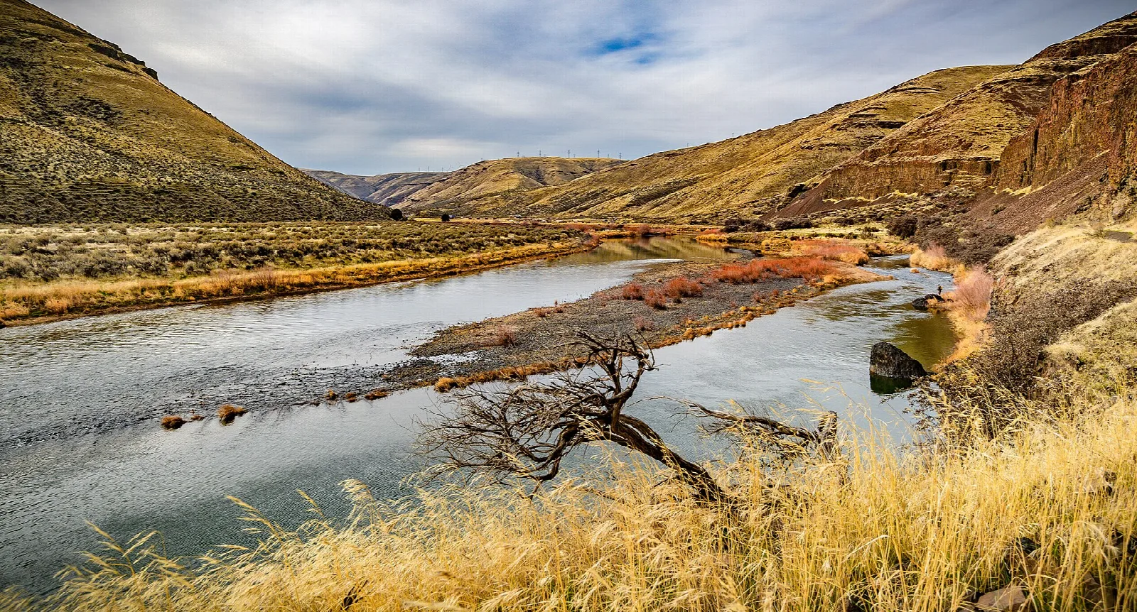 Shallow river braiding through a golden canyon