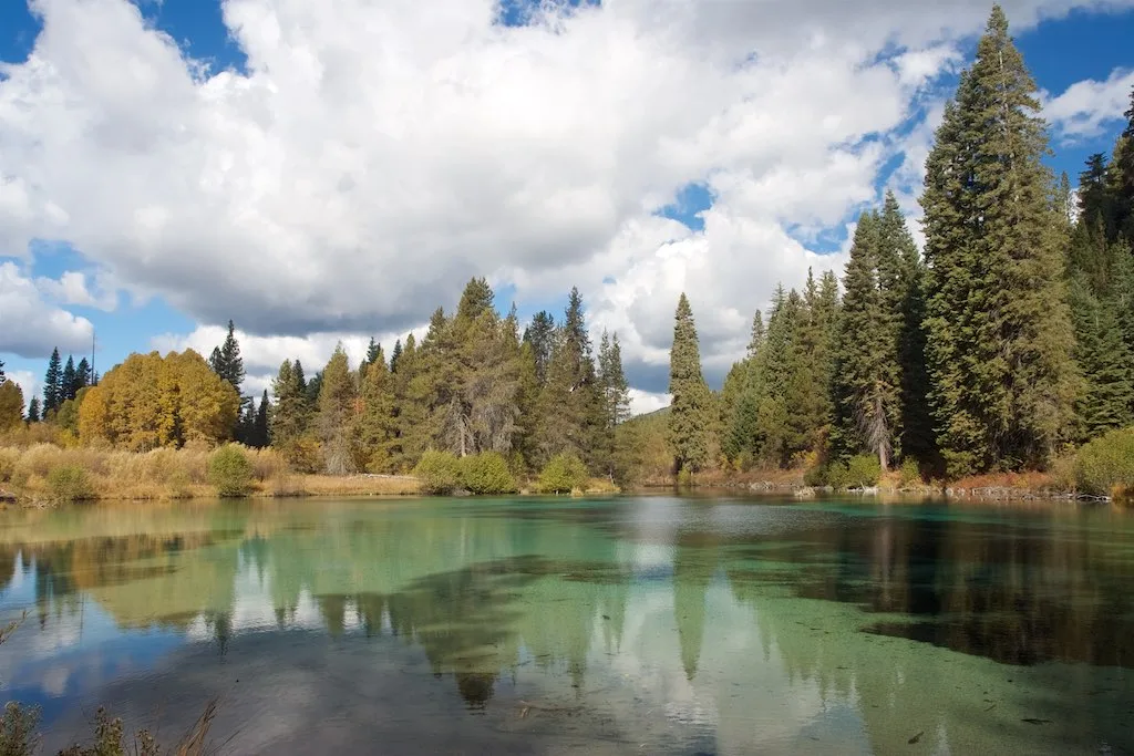 Clear green spring pool reflecting pines and aspen under a cloudy sky