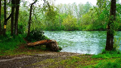 Whitely Landing Willamette River Greenway
