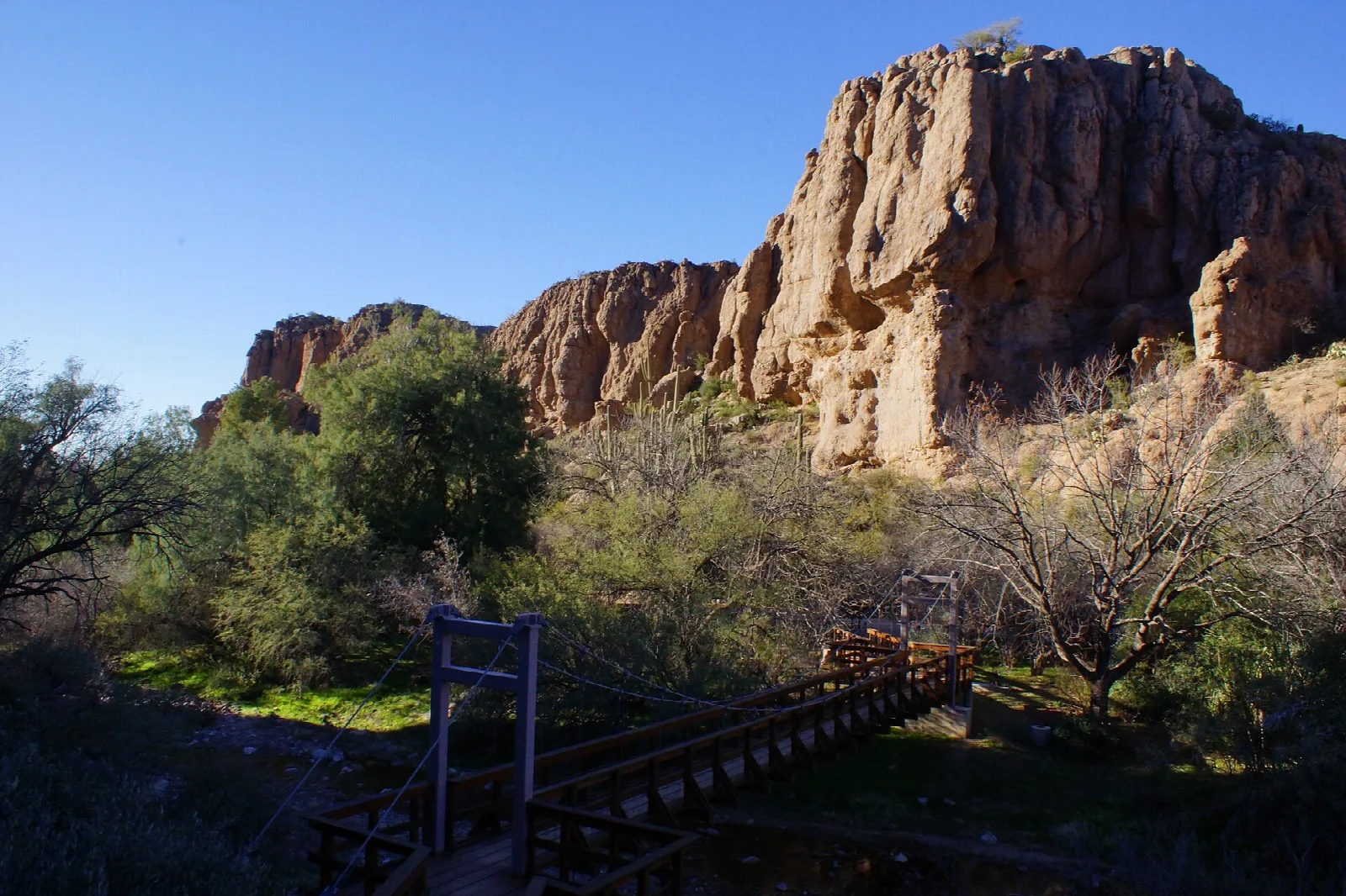 Red rock cliffs above a wooded trail with a wooden bridge