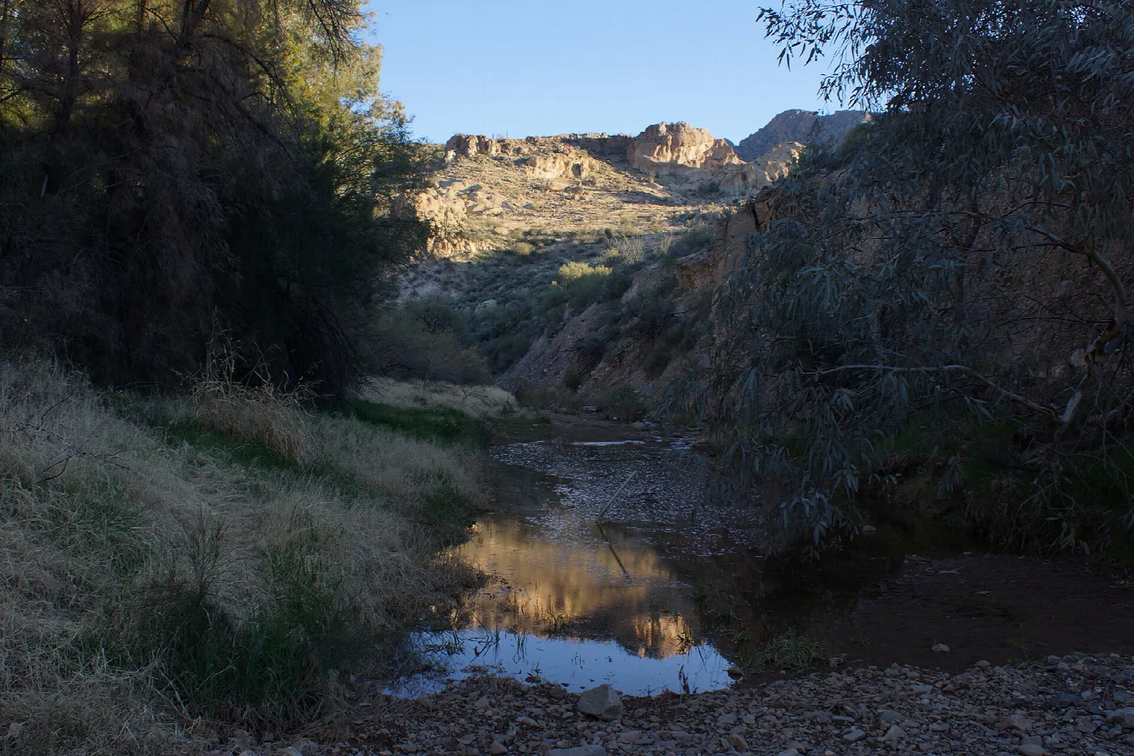 Shallow pool in a creek bed under a rocky canyon rim
