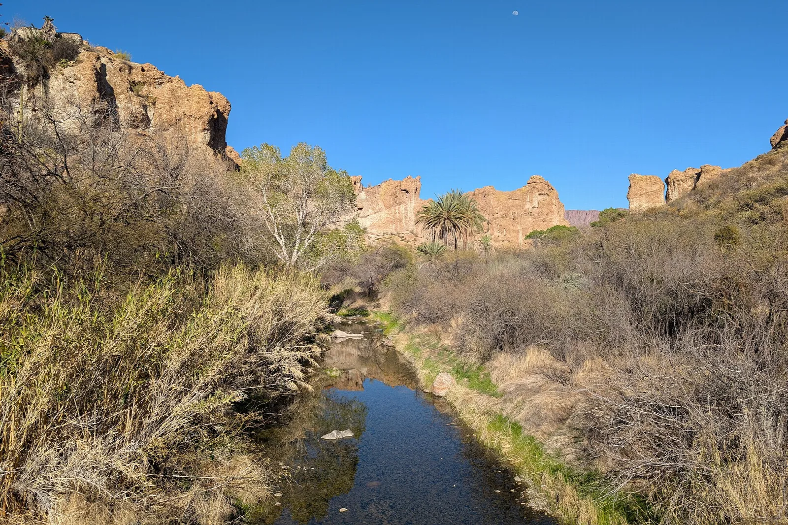 Small creek running below rocky cliffs in the desert