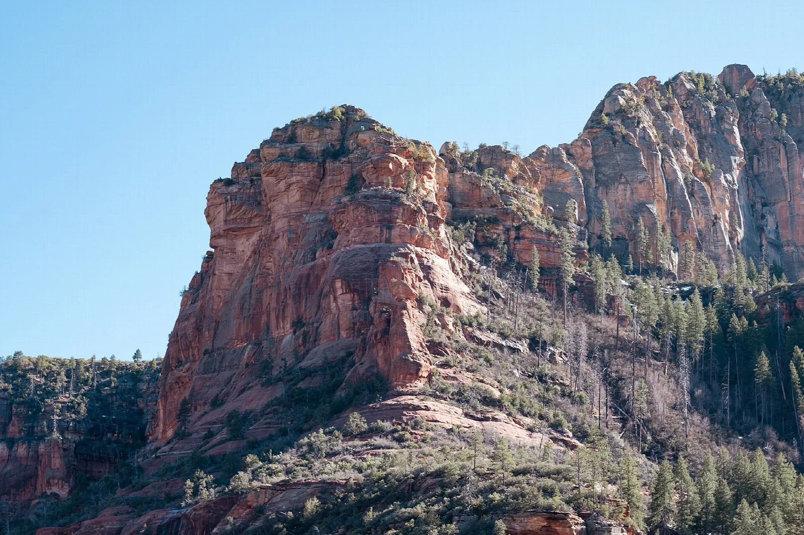 Red sandstone canyon wall with trees below