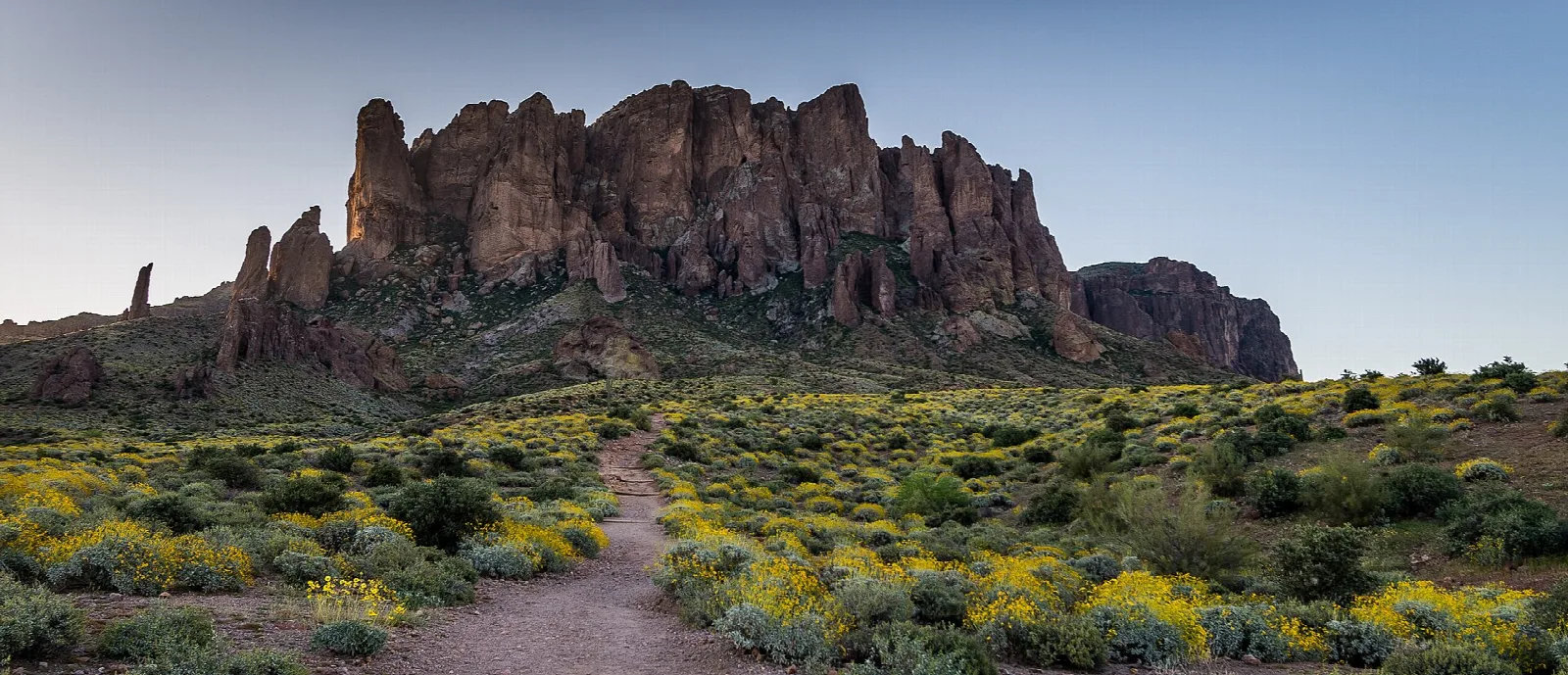 Trail through yellow flowers toward the Superstition Mountains