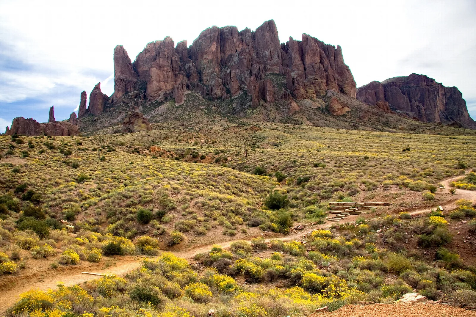 Dirt trail through yellow brittlebush toward rocky peaks