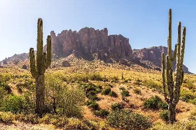 Lost Dutchman State Park