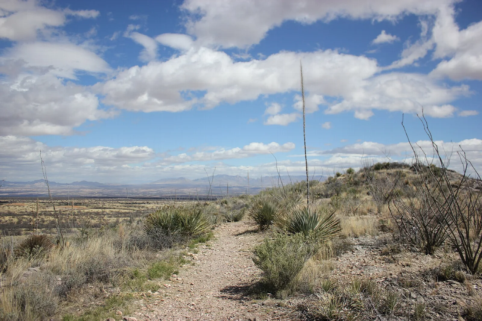 Desert trail and open valley under big clouds