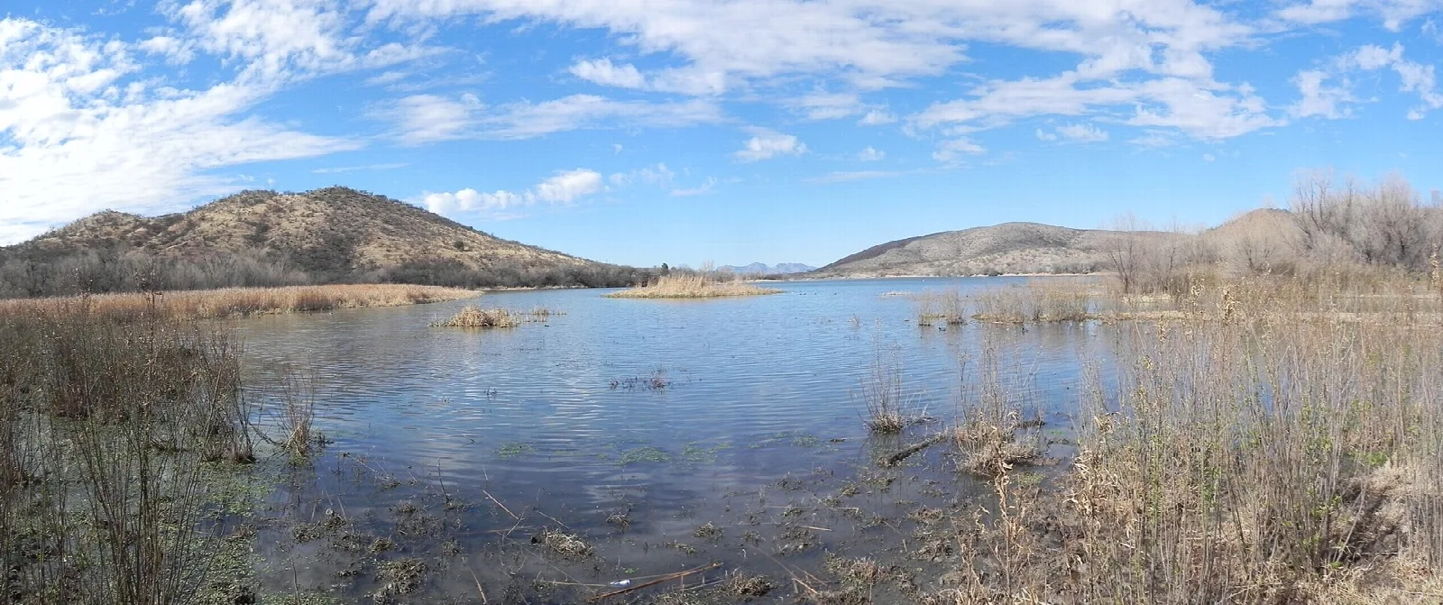 Wide lake with reeds and low hills under blue sky