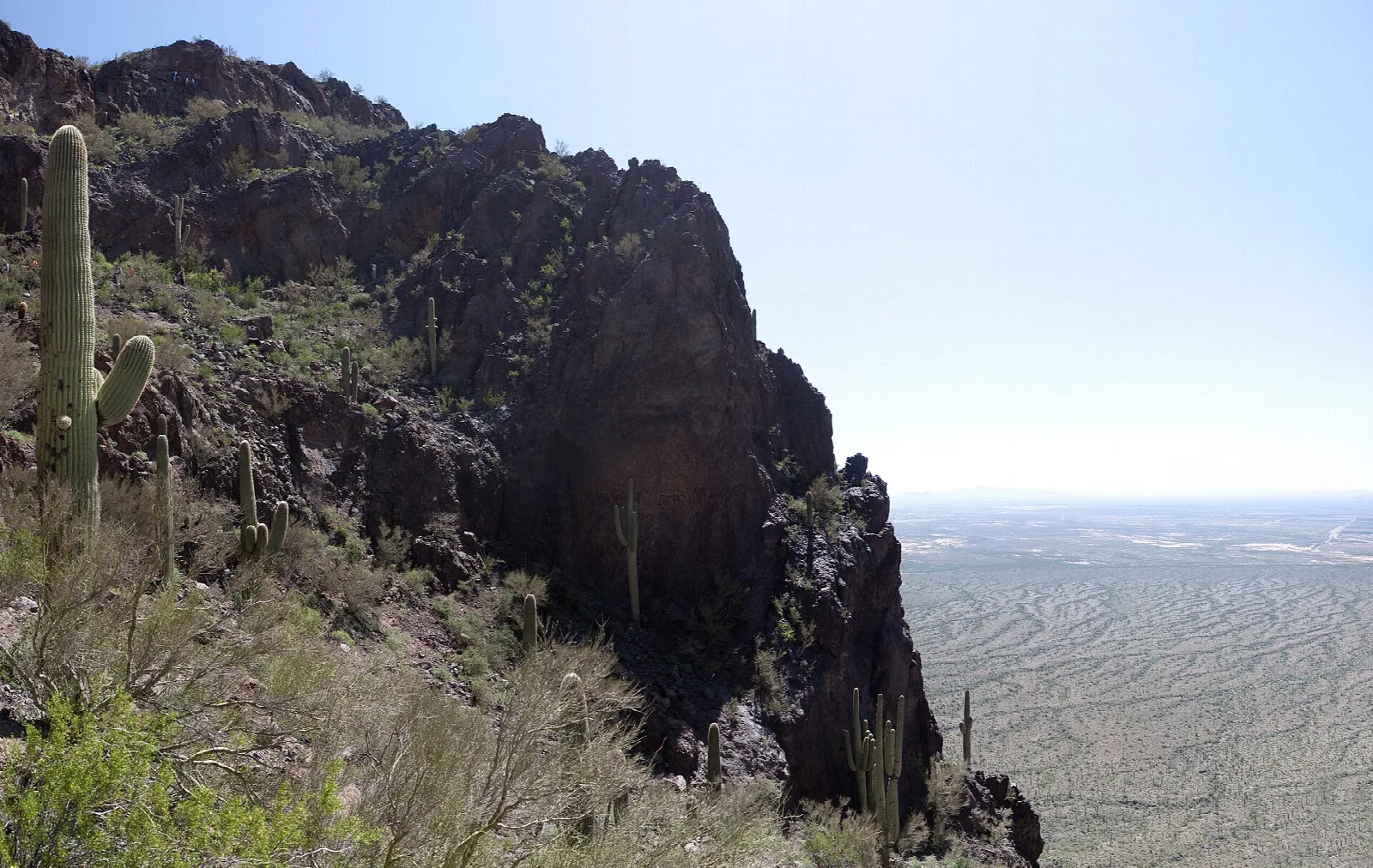 Dark cliff and saguaros above a flat desert plain