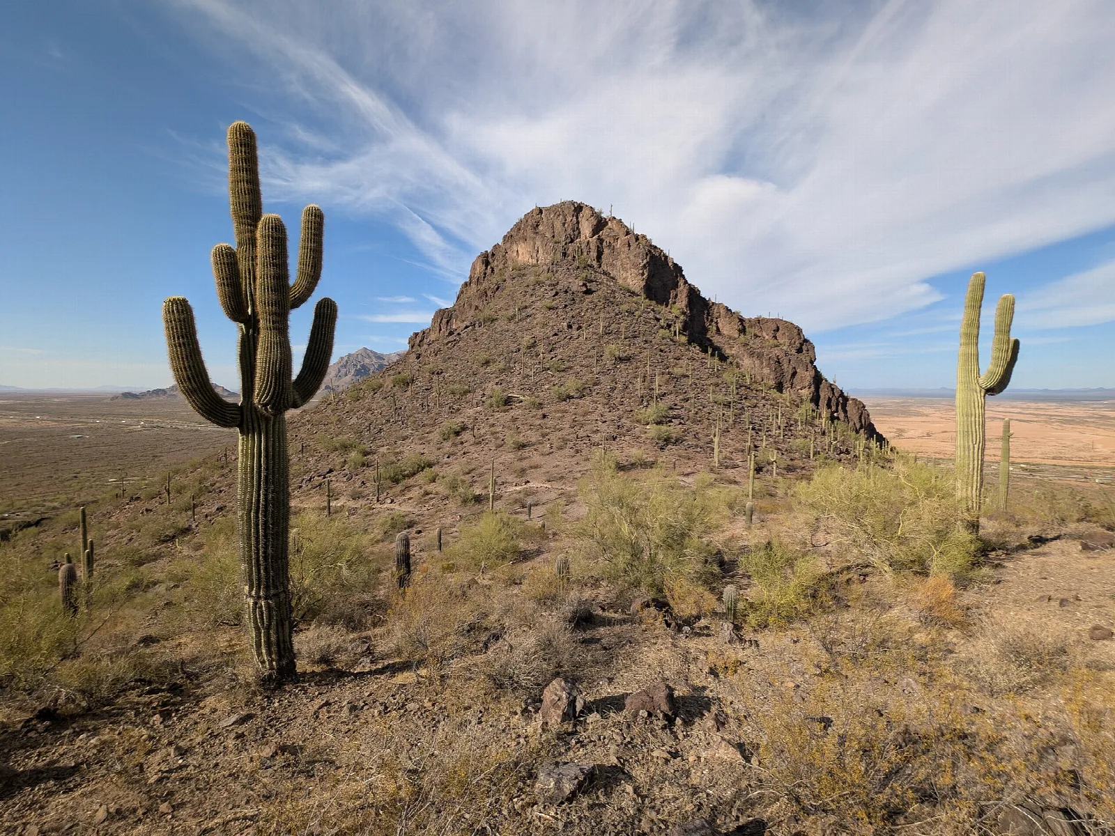 Saguaro cactus in front of a rocky peak under wispy clouds