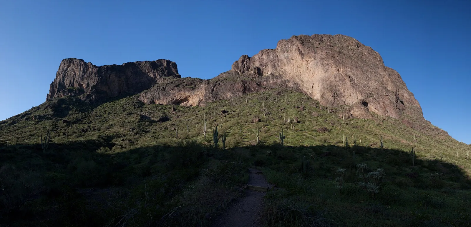 Rugged peak rising above a green desert slope