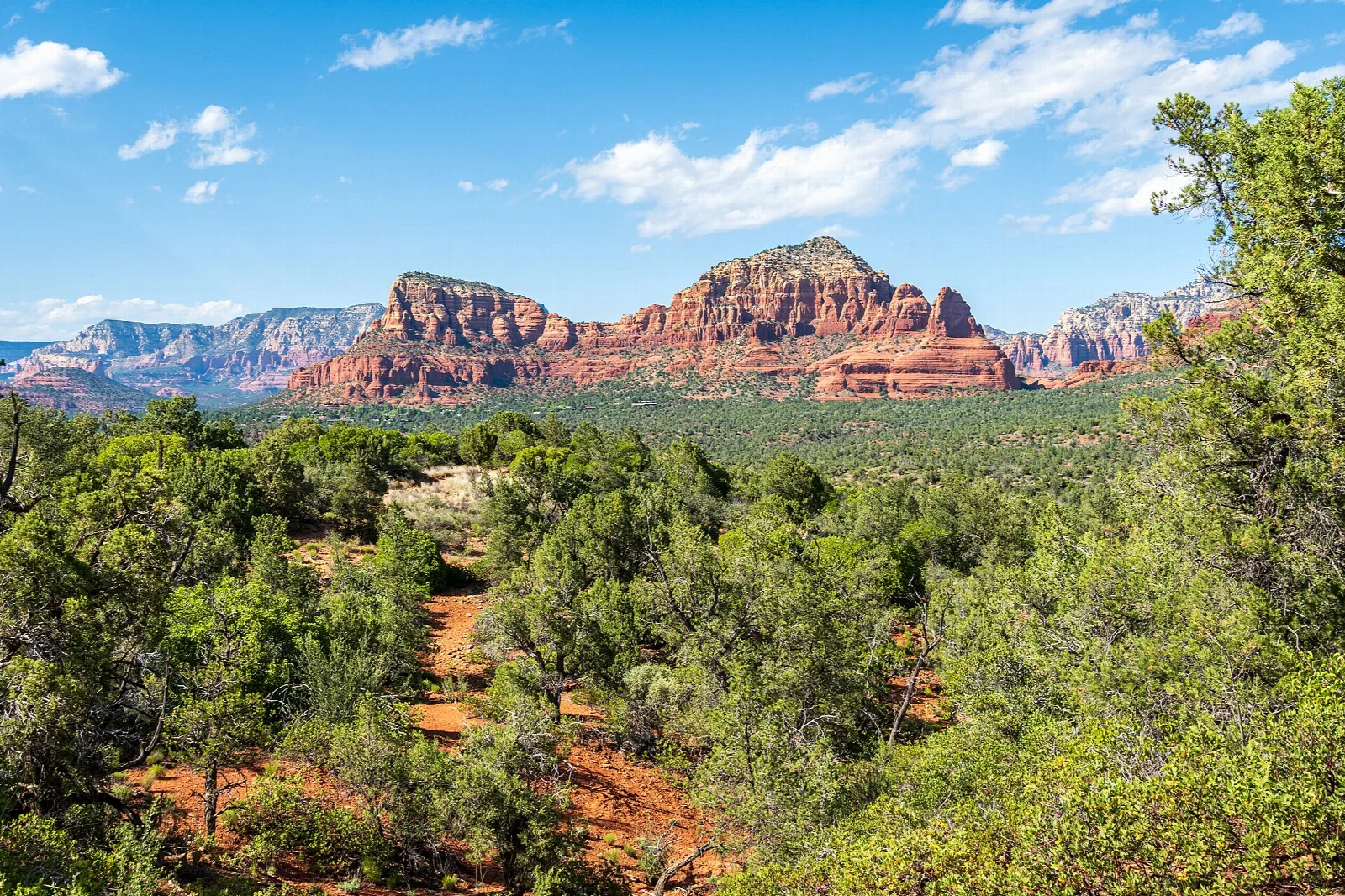 Red rock mesas beyond a green juniper-covered hillside