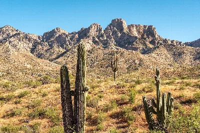 Catalina State Park