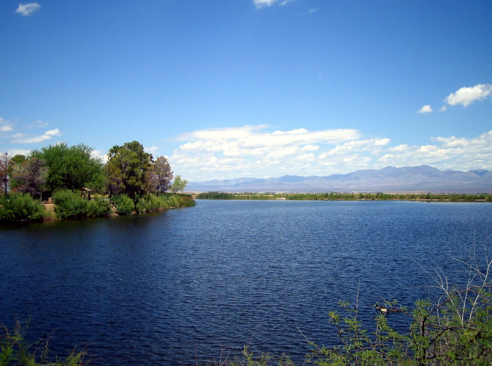 Calm dark-blue lake with green shoreline trees and distant mountains