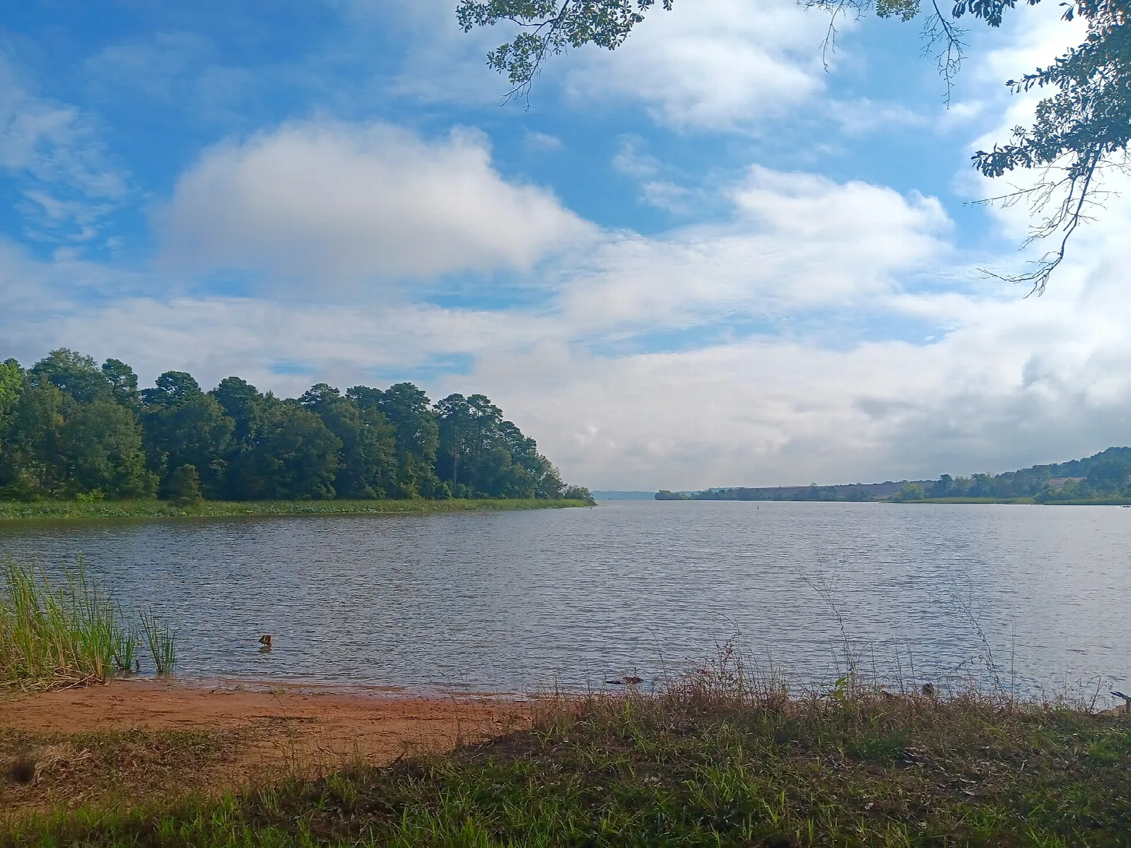 Wide lake under a blue sky with trees on the far shore and a dirt bank in front