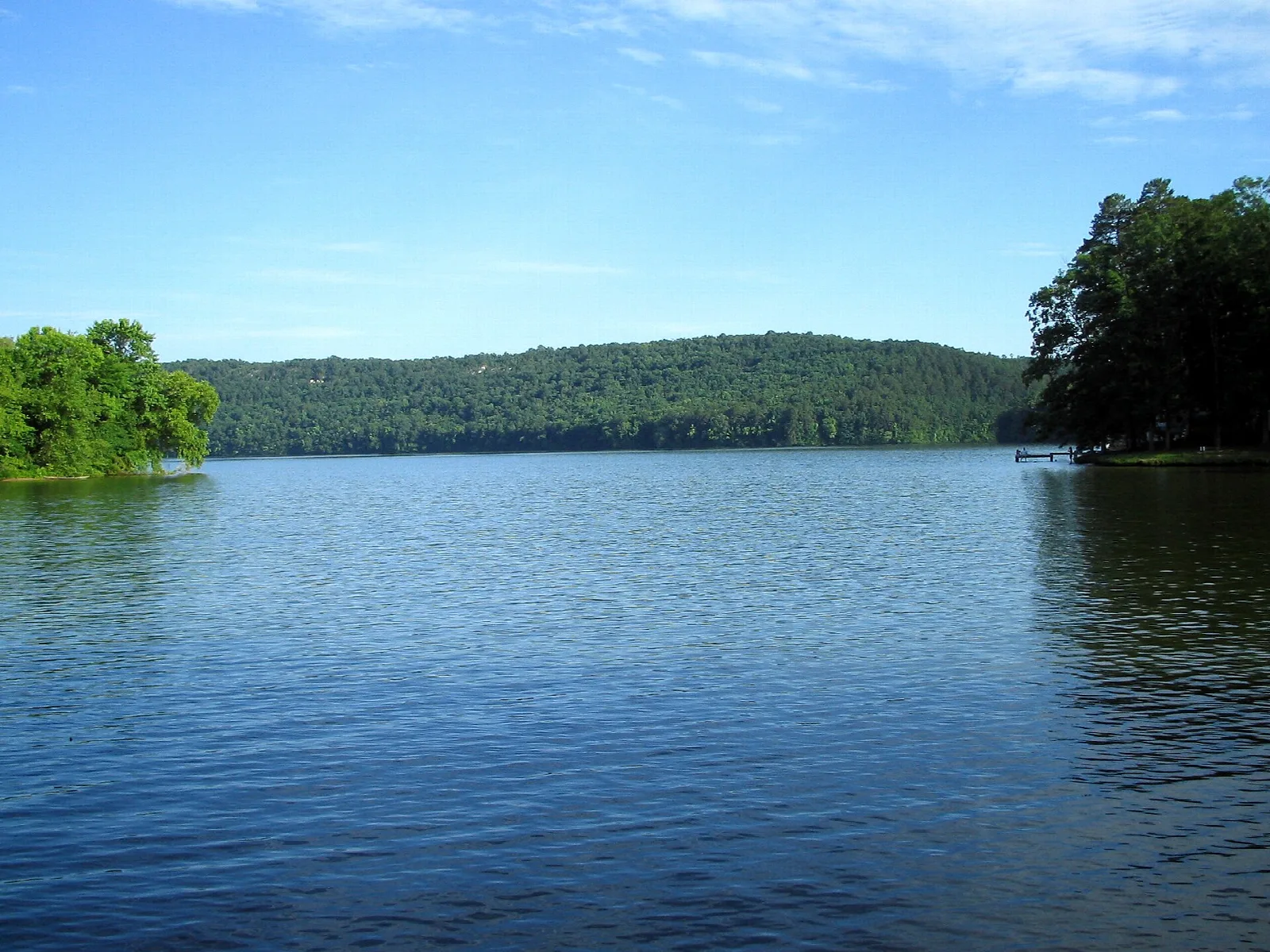Blue lake with forested hills on the far shore under a clear sky