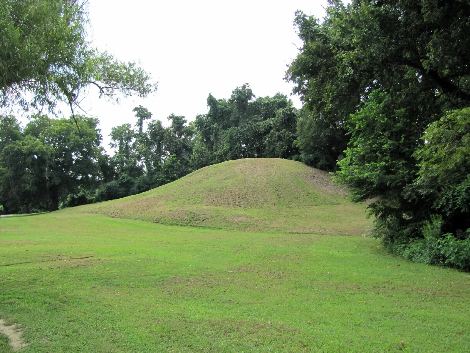 Low grassy mound beside trees under a pale sky