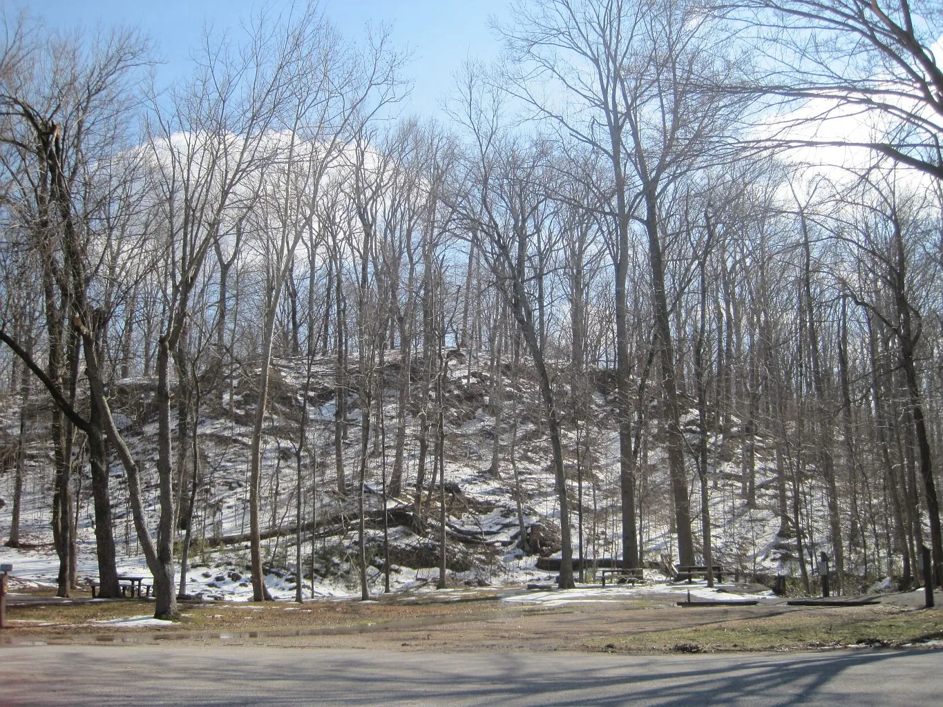 Bare winter hardwood trees on a slope with a light dusting of snow