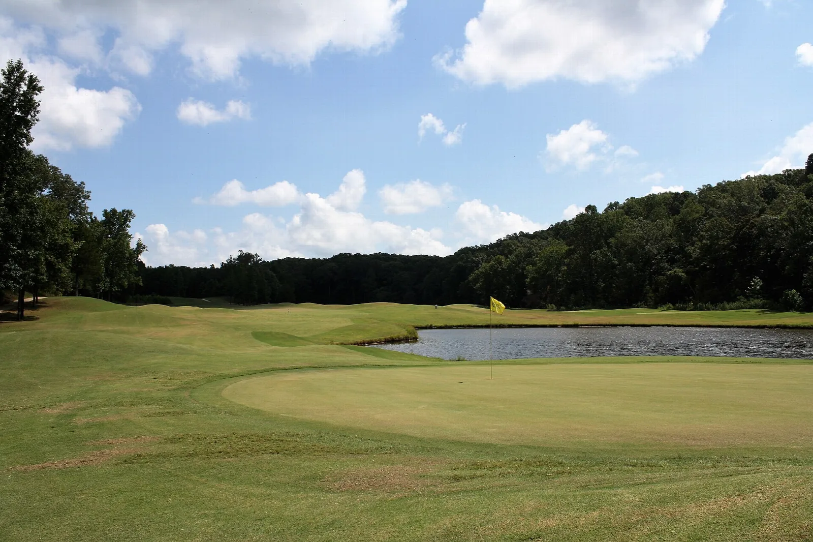 Golf green with a flag and a pond beside it, ringed by trees