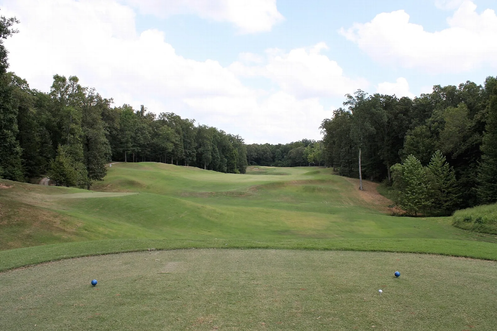 Golf tee box looking down a mown fairway lined with trees