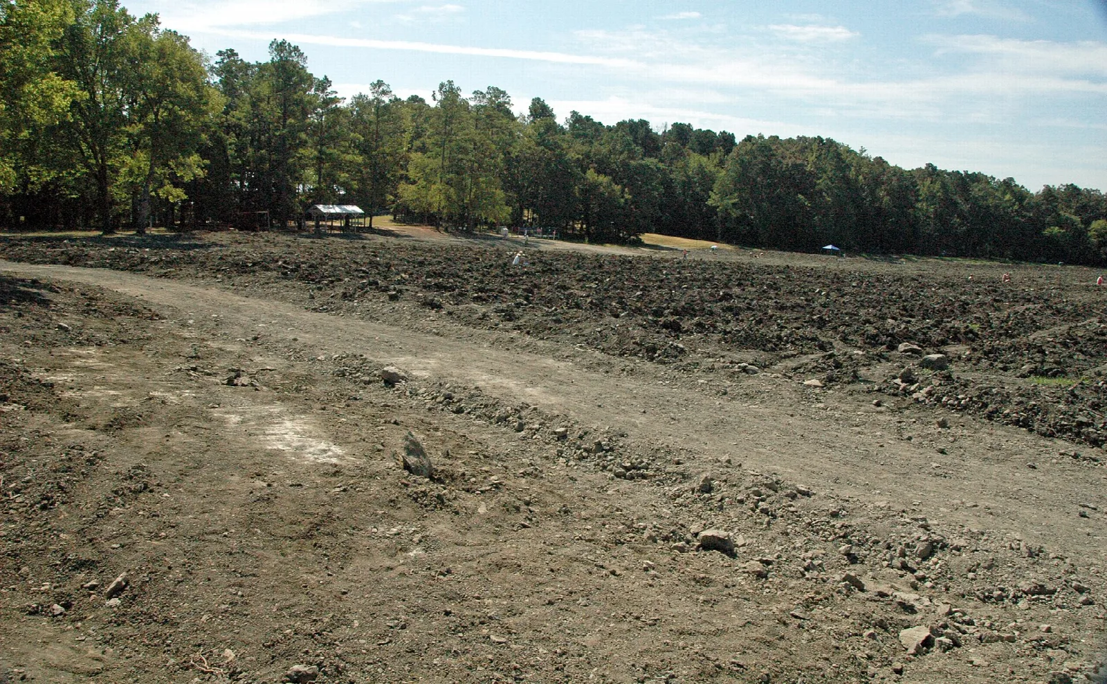 Dirt track beside a plowed field with pine trees behind