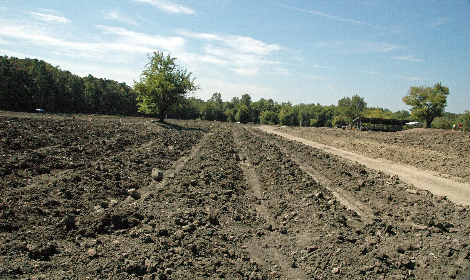 Furrowed dark soil field with a trail and a lone tree under blue sky