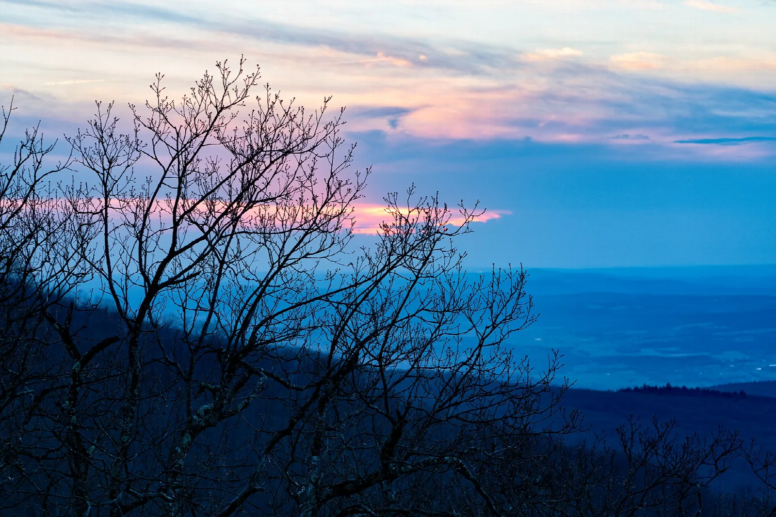 Bare trees silhouetted against a pink and blue sky over a wide valley at sunset