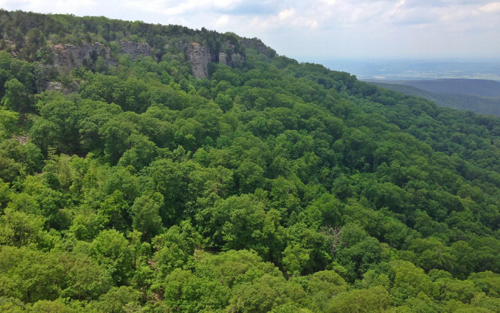 Green forested mountain slope with rock bluffs and hazy valley beyond