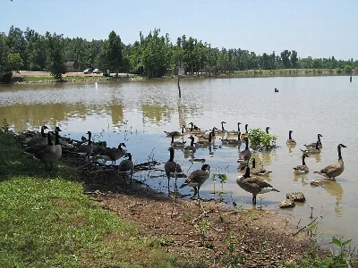 Lake Frierson State Park