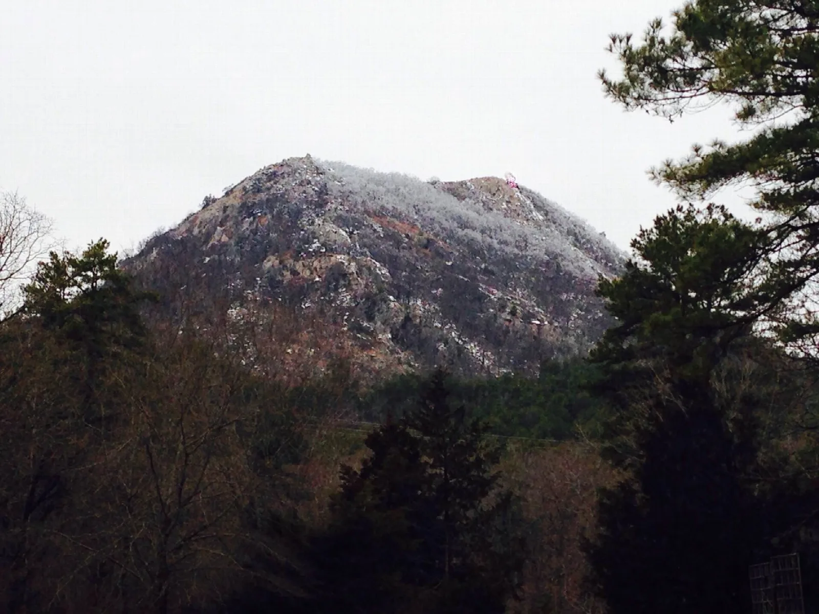 Snow-dusted rocky summit among pine trees