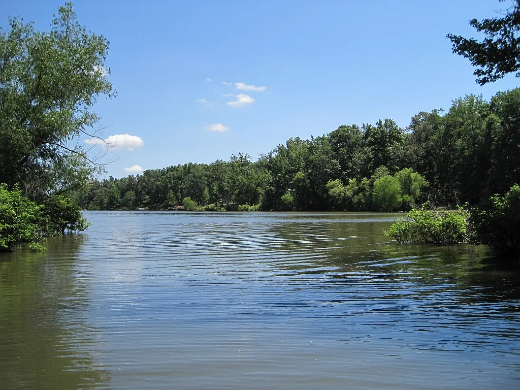 Calm lake with a wooded shoreline under a blue sky